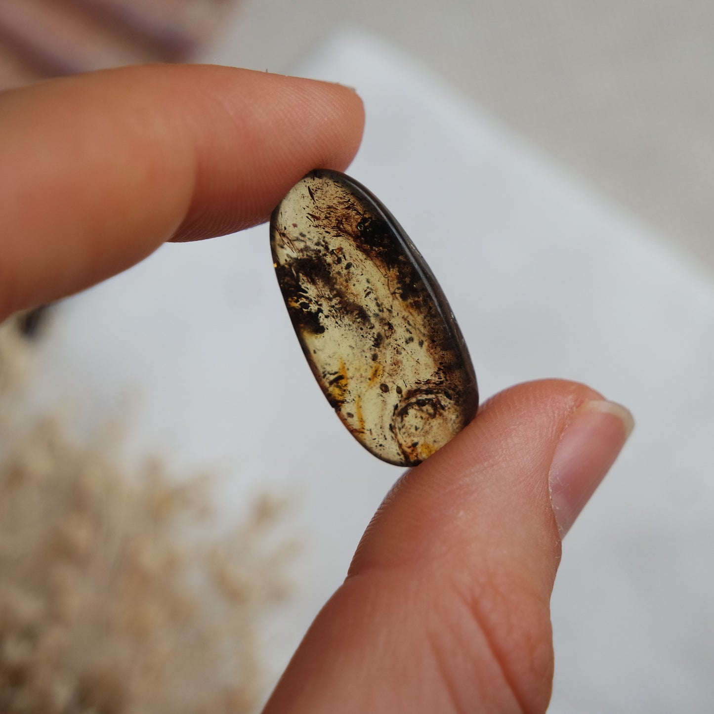Bernstein Cabochon aus der Karibik ~ B12