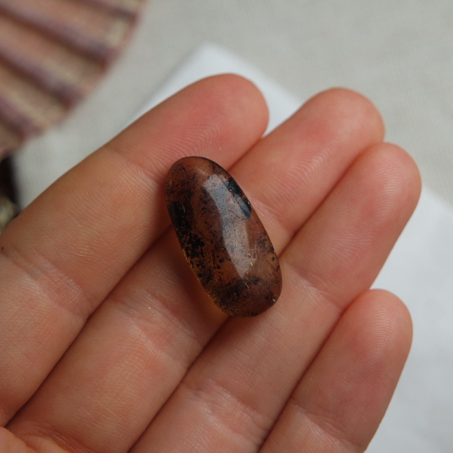 Bernstein Cabochon aus der Karibik ~ B12