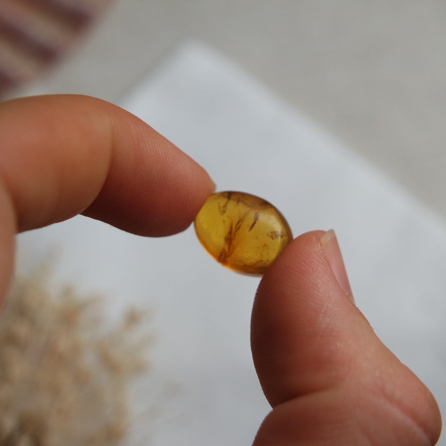Bernstein Cabochon aus der Karibik ~ BB8