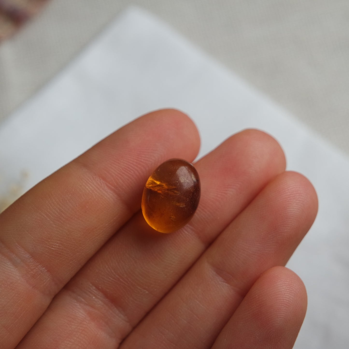 Bernstein Cabochon aus der Karibik ~ BB8