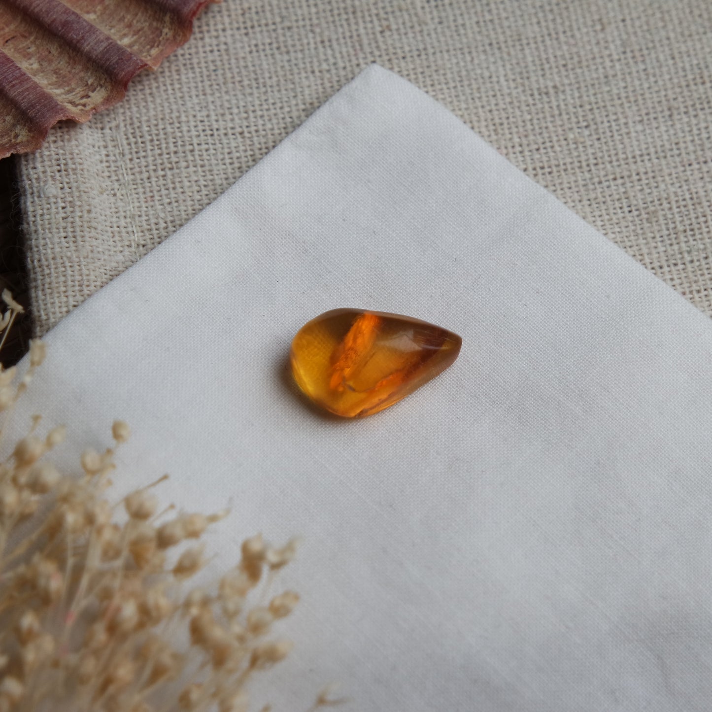Bernstein Cabochon aus der Karibik ~ B10