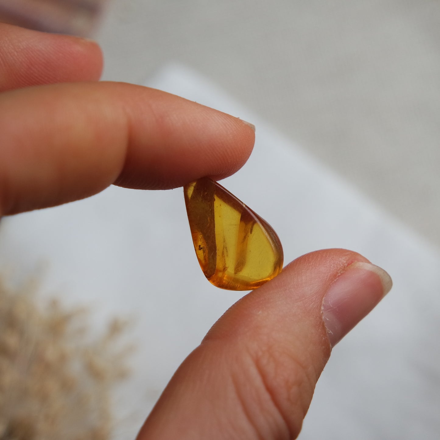 Bernstein Cabochon aus der Karibik ~ B10