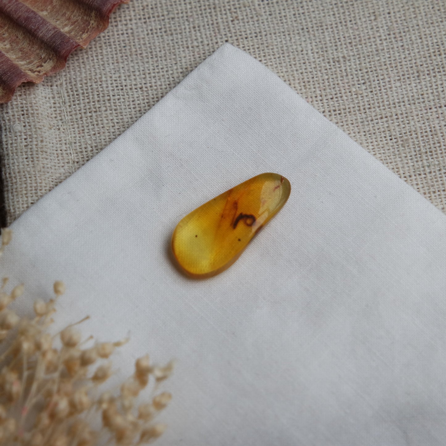 Bernstein Cabochon aus der Karibik ~ BB10