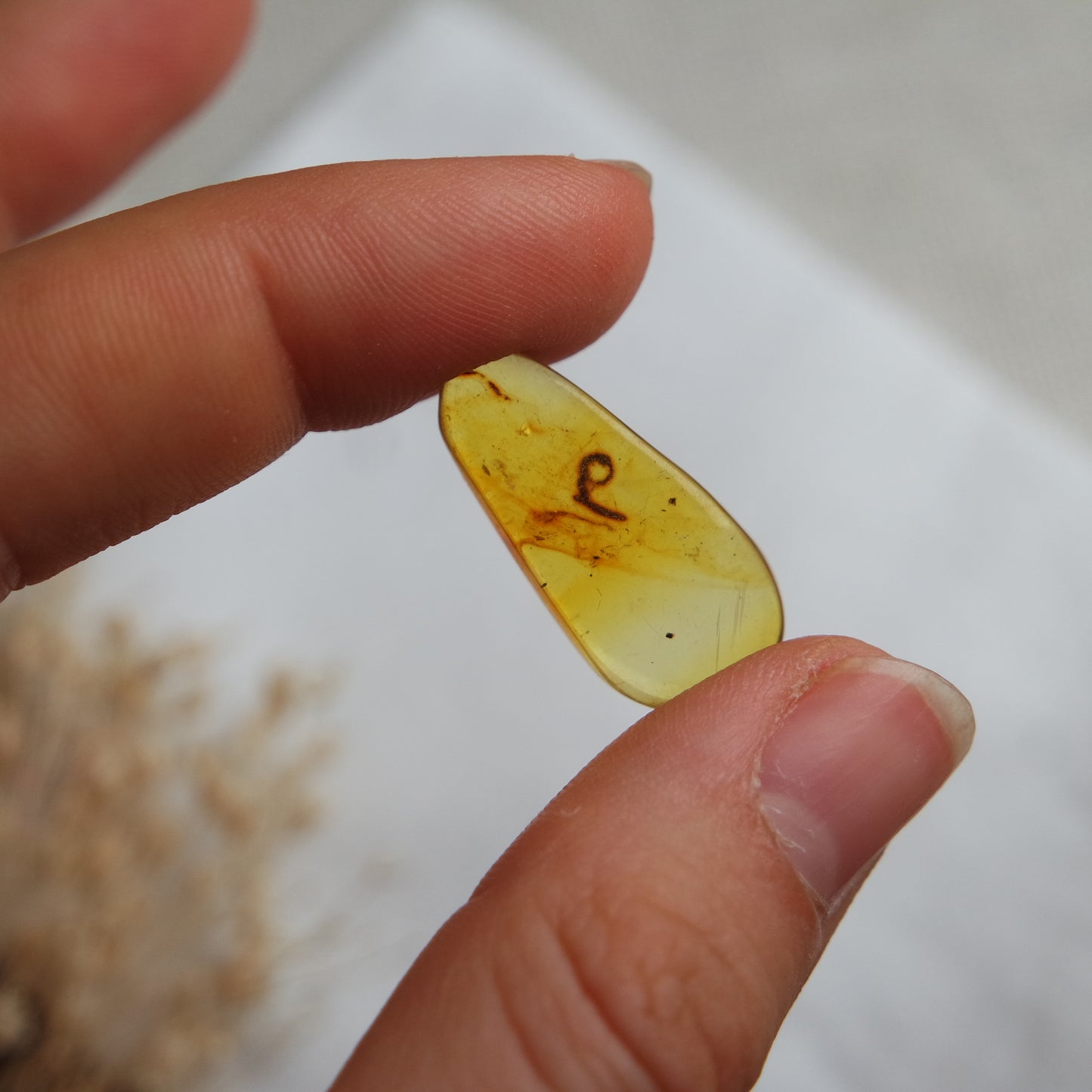 Bernstein Cabochon aus der Karibik ~ BB10