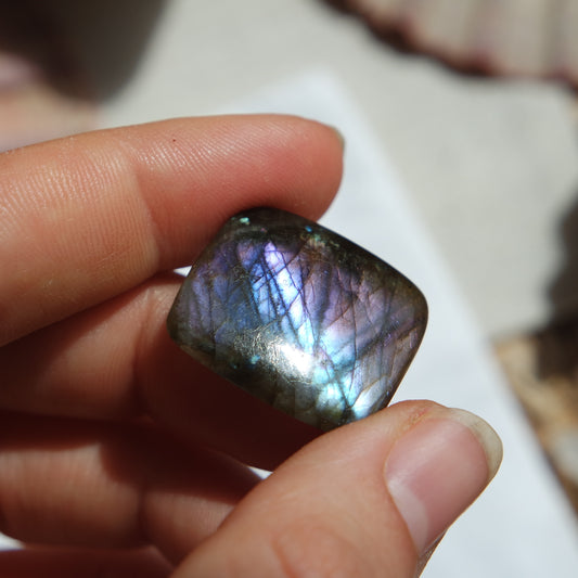 Labradorit Cabochon ~ 12ZD