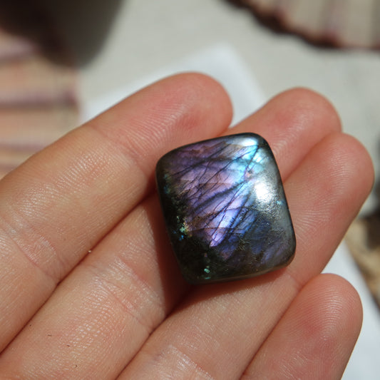 Labradorit Cabochon ~ 12ZD