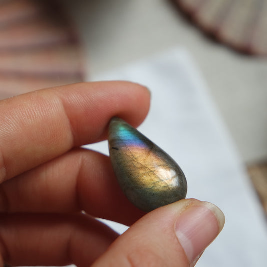 Labradorit Cabochon ~ 12ZG
