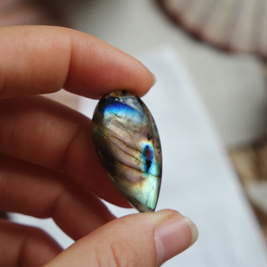 Labradorit Cabochon ~ 12Zj