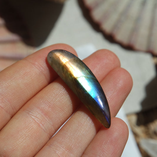 Labradorit Cabochon ~ 12ZL