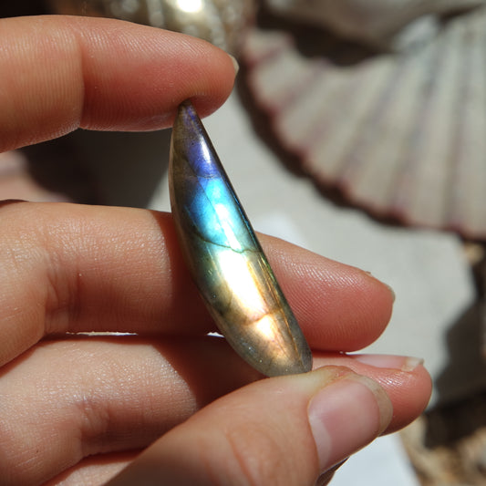 Labradorit Cabochon ~ 12ZL