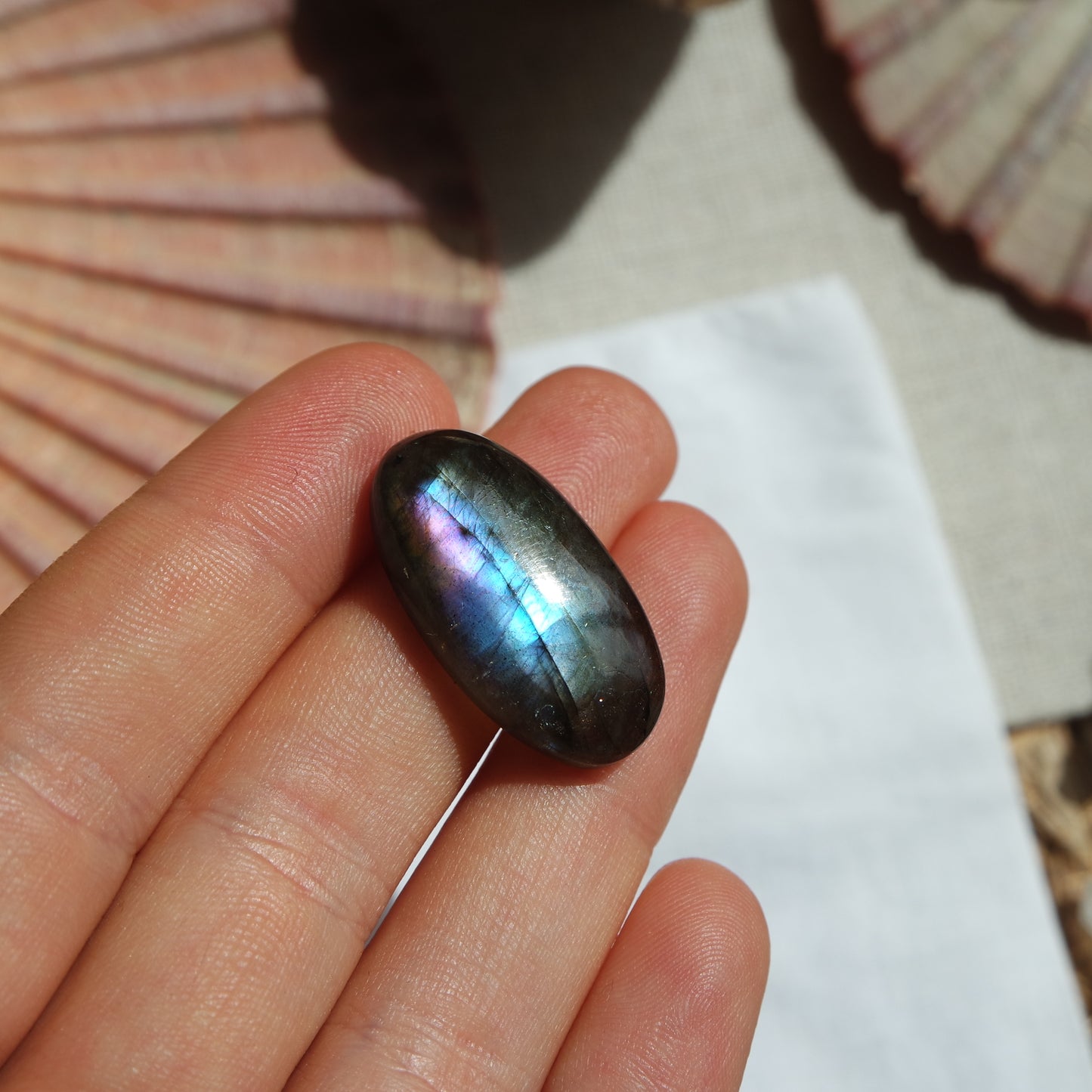 Labradorit Cabochon ~ 12ZP
