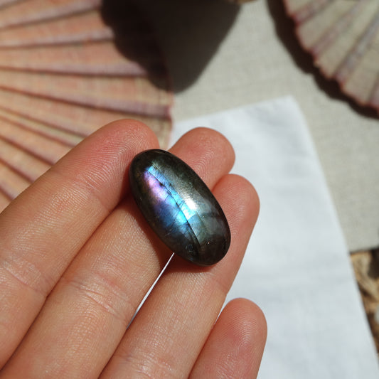 Labradorit Cabochon ~ 12ZP