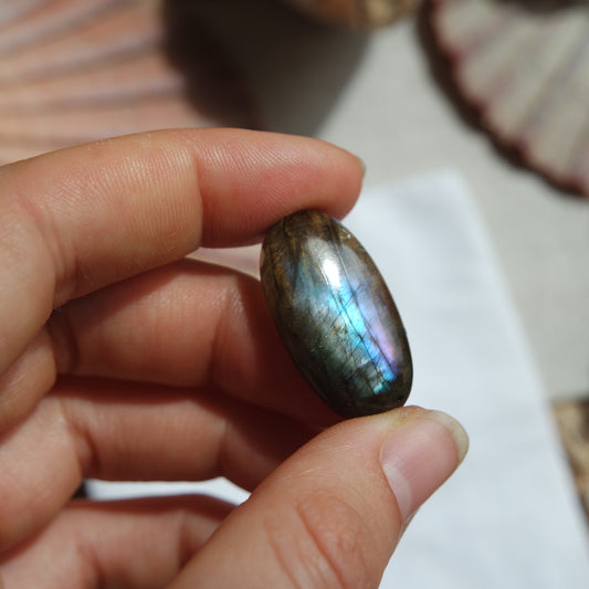 Labradorit Cabochon ~ 12ZP