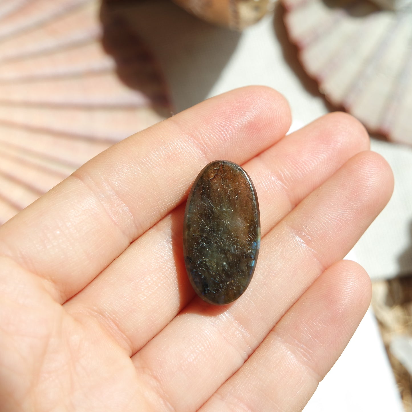 Labradorit Cabochon ~ 12ZP