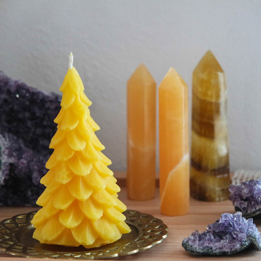 Tanne Bienenwachskerze