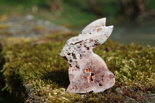 Crazy Lace Achat Hase ~ H004