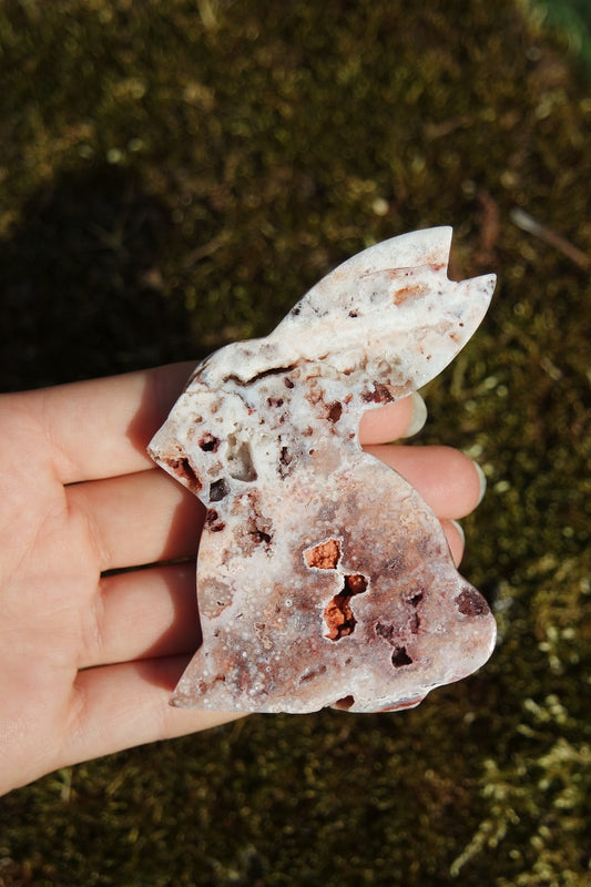 Crazy Lace Achat Hase ~ H004