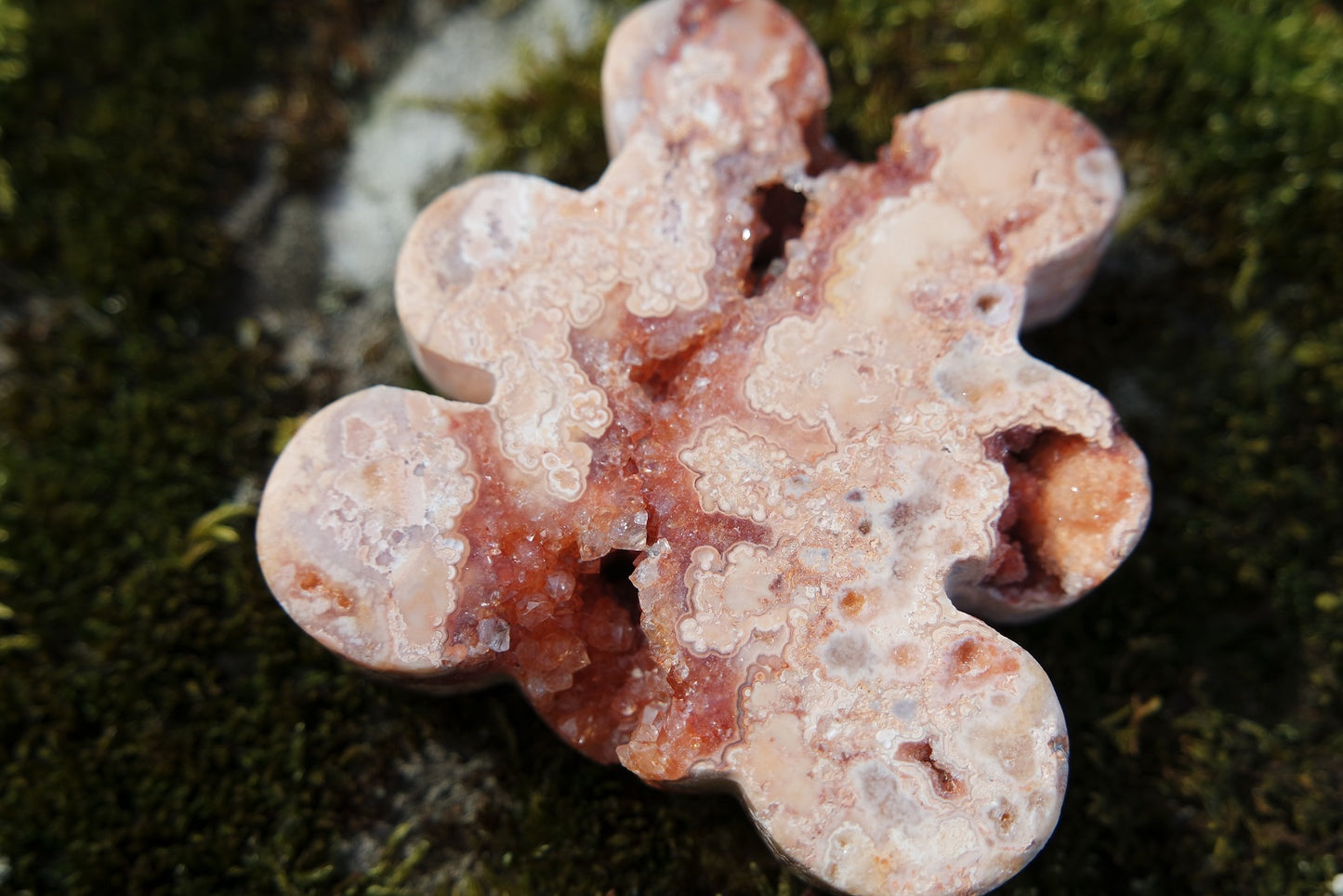 Crazy Lace Achat Bär ~ B001