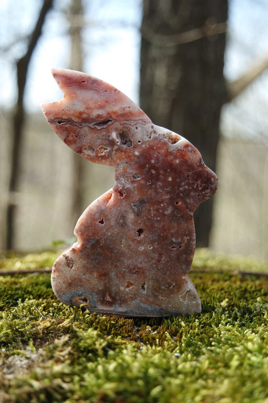 Crazy Lace Achat Hase ~ H002