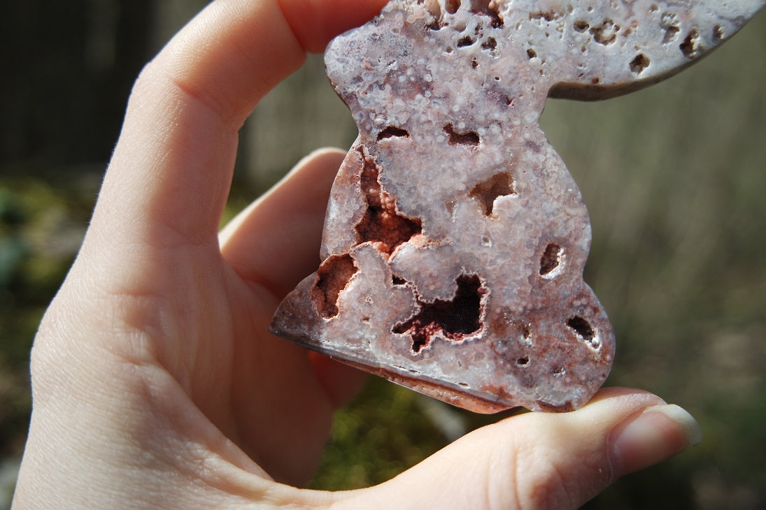 Crazy Lace Achat Hase ~ H002