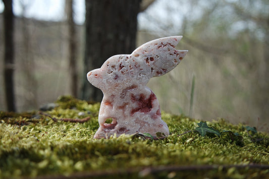 Crazy Lace Achat Hase ~ H008