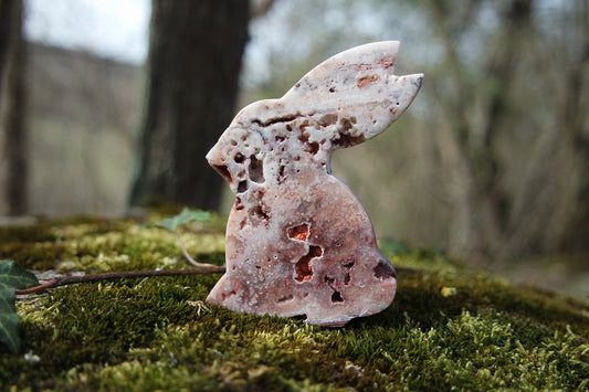 Crazy Lace Achat Hase ~ H001