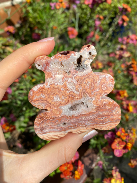 Crazy Lace Achat Bär ~ B004