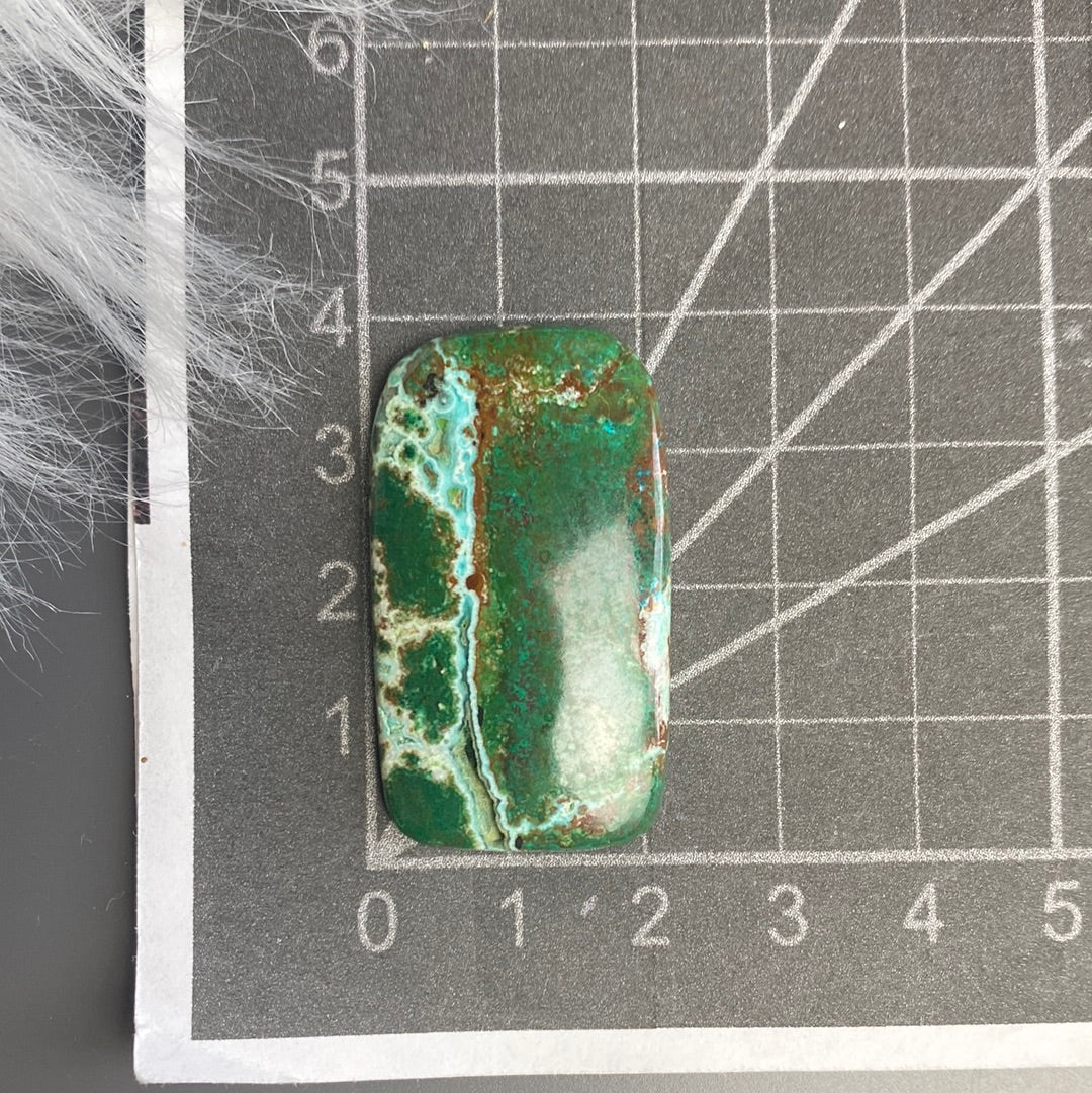 Druzy Chrysokoll Cabochon ~ A4