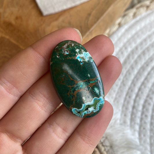 Druzy Chrysokoll Cabochon ~ A3