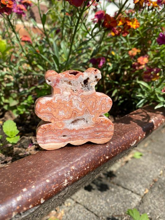 Crazy Lace Achat Bär ~ B004