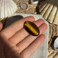 Tigerauge Cabochon ~ TF10
