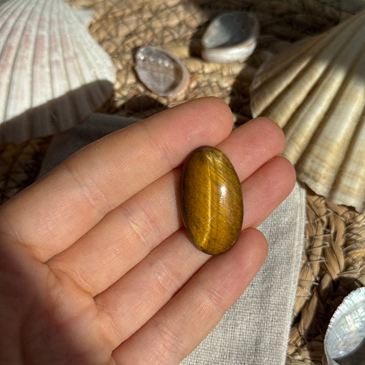 Tigerauge Cabochon ~ TV7