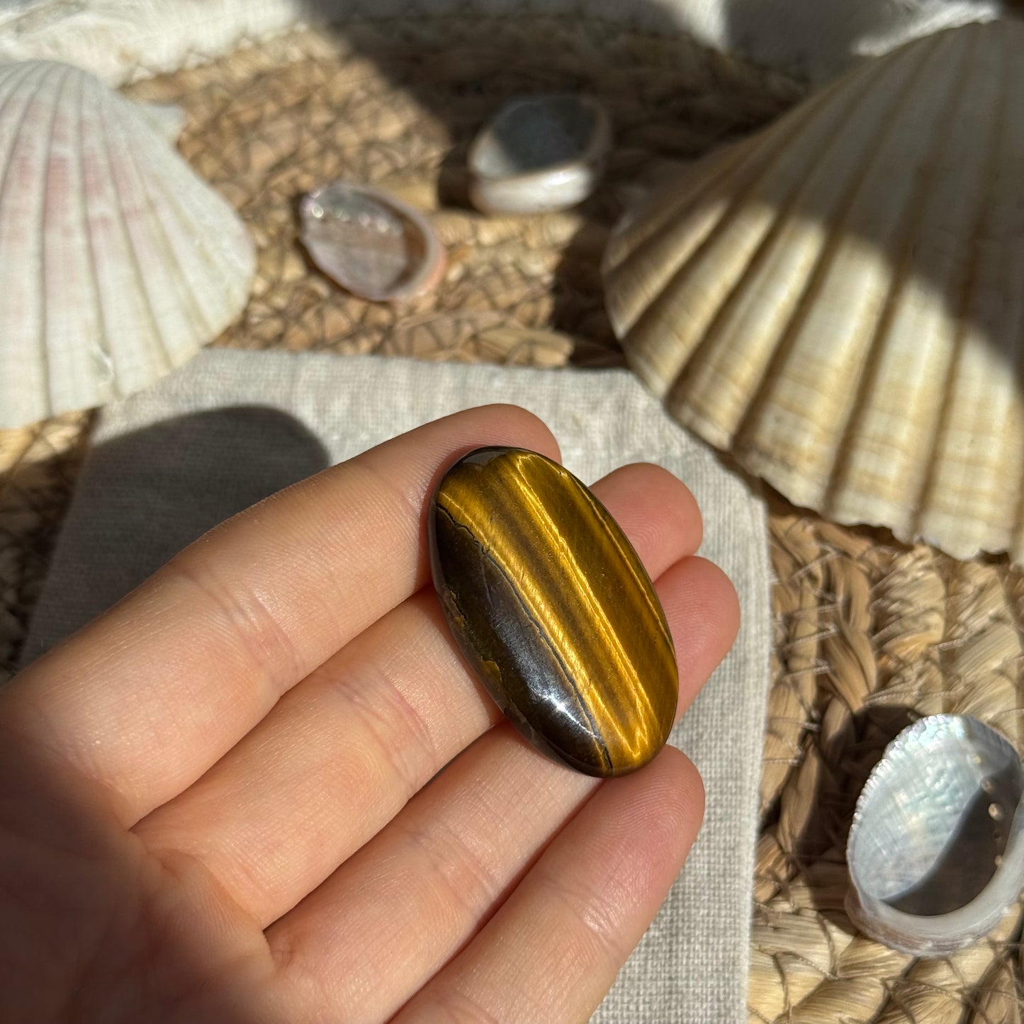 Tigerauge Cabochon ~ TA15