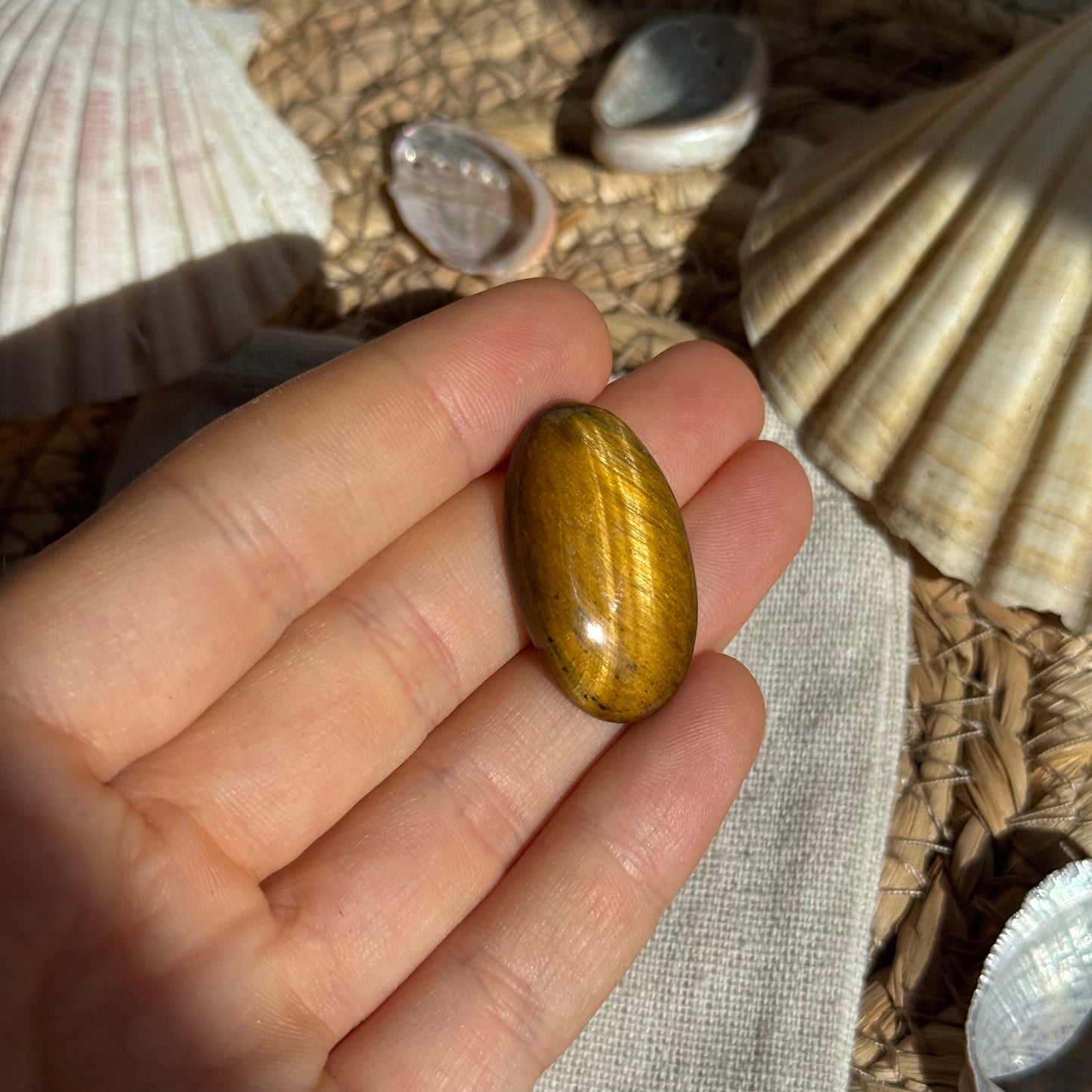 Tigerauge Cabochon ~ TV7
