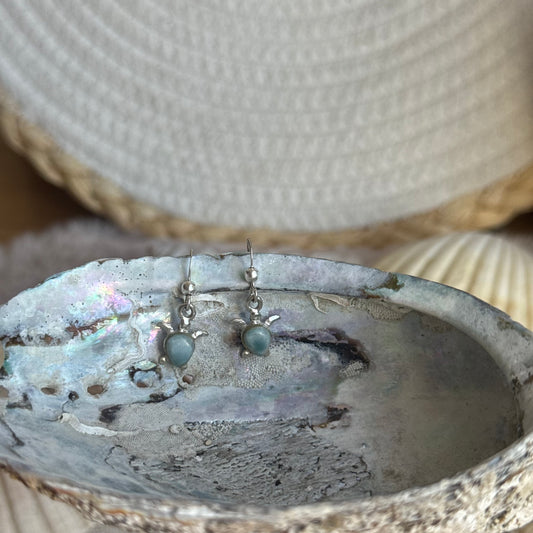 Larimar Schildkröten Ohrringe ~ BU40