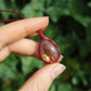 hoyly Makramee Kette Ivy Dream