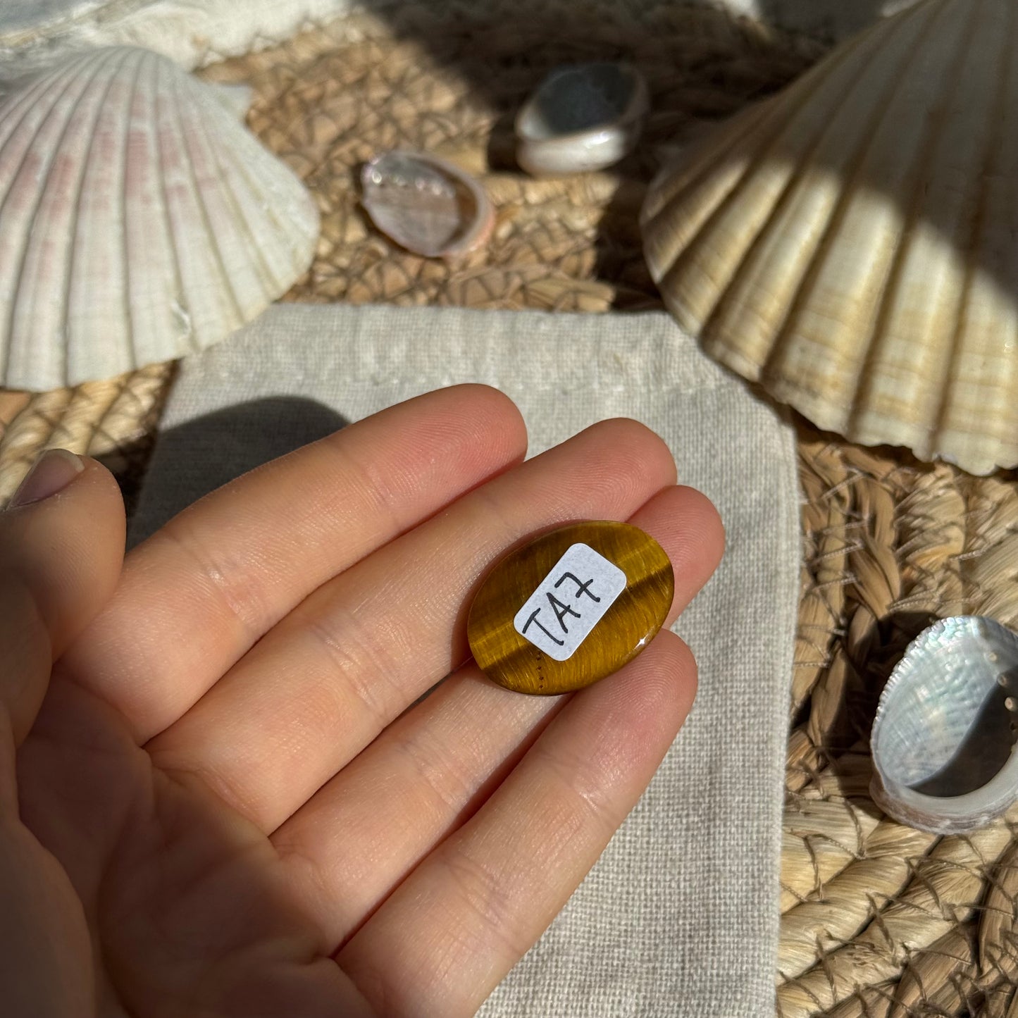 Tigerauge Cabochon ~ TA7