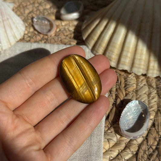 Tigerauge Cabochon ~ TA14