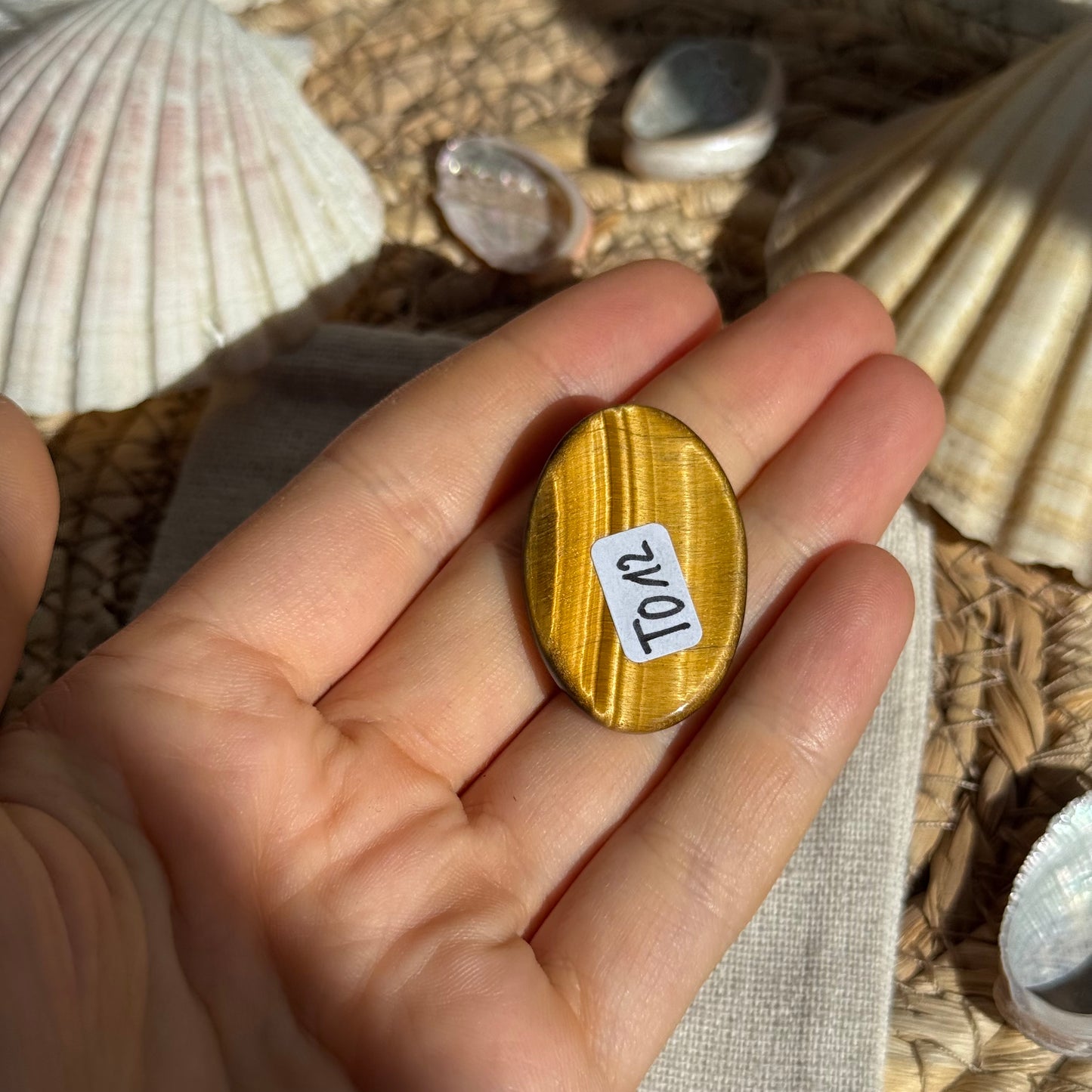 Tigerauge Cabochon ~ TO12