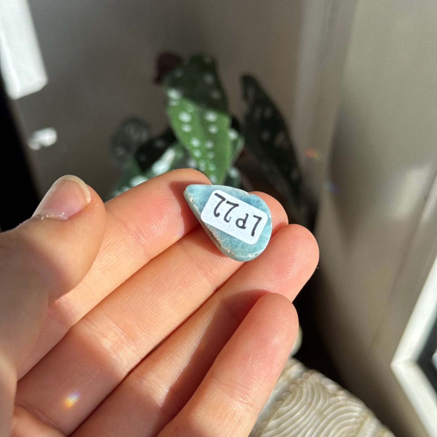Larimar Cabochon ~ LP22