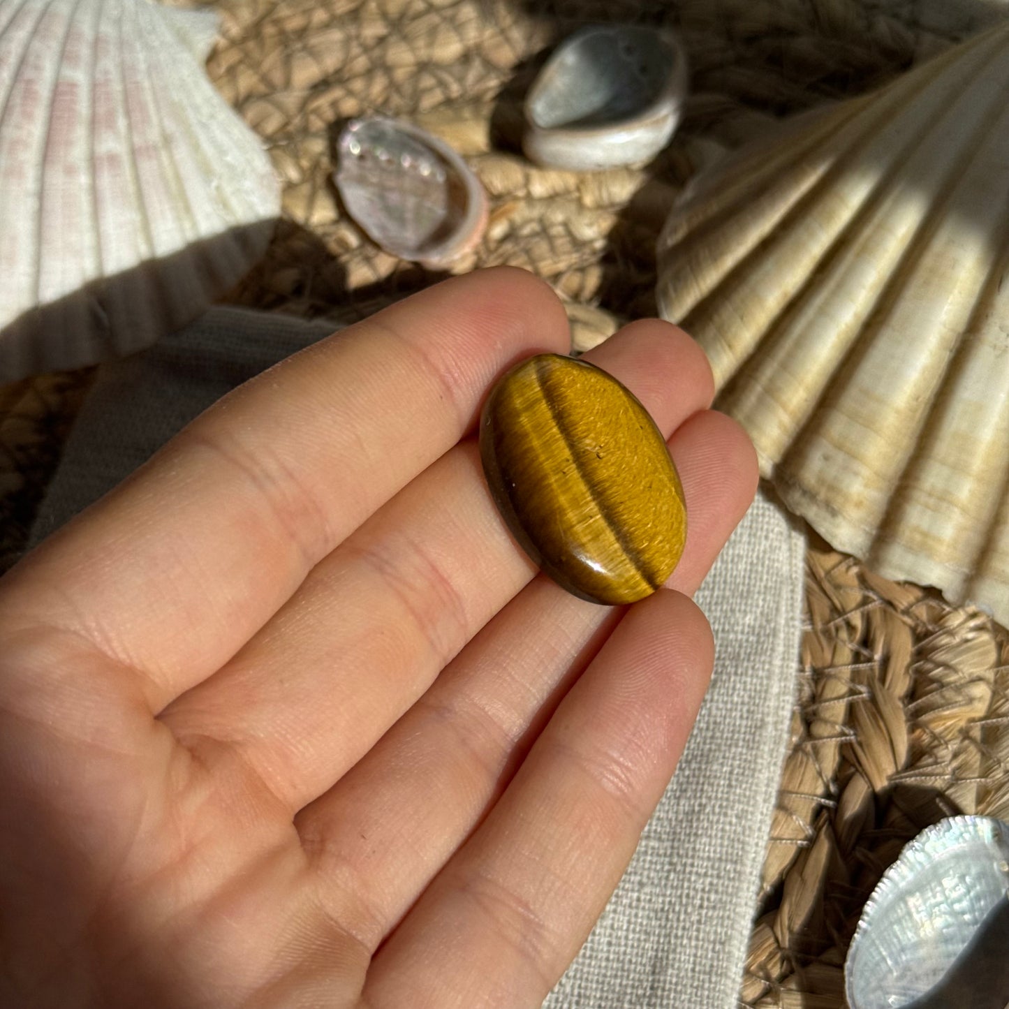 Tigerauge Cabochon ~ TZ8