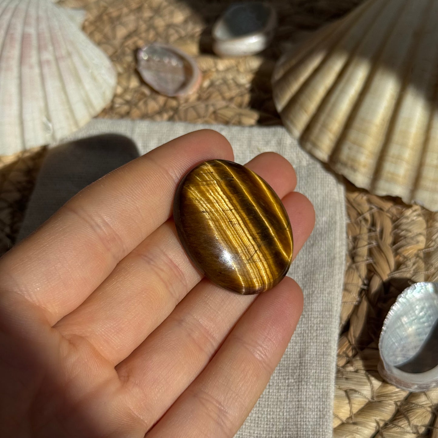 Tigerauge Cabochon ~ TA16