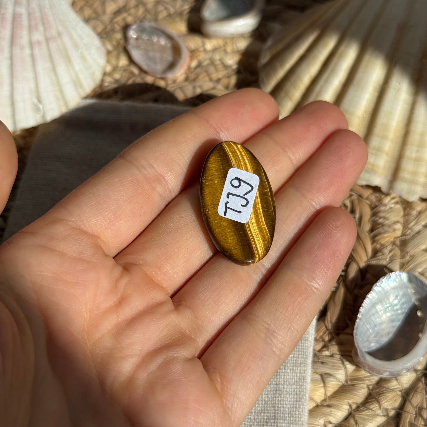Tigerauge Cabochon ~ TJ9