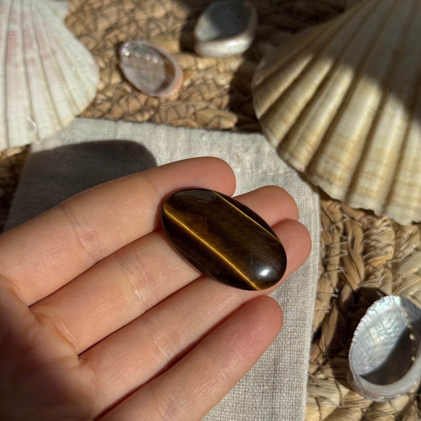 Tigerauge Cabochon ~ TH12