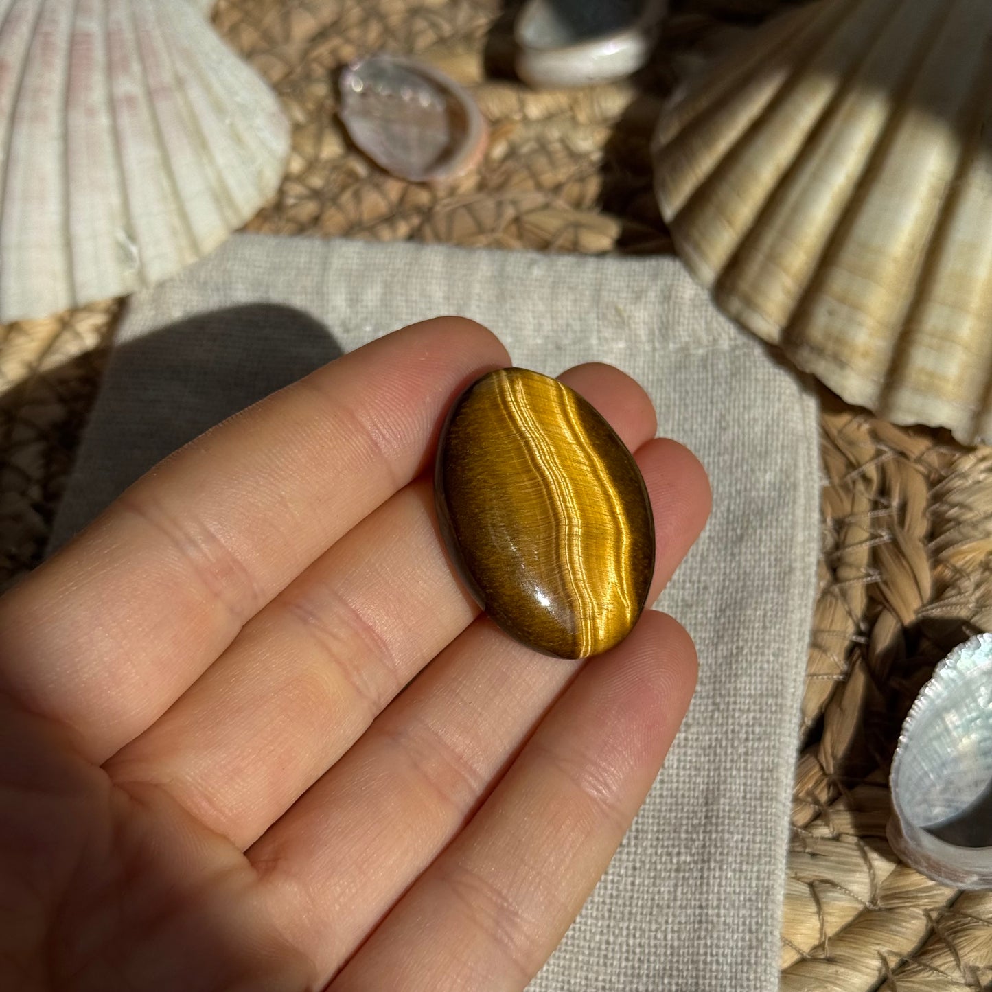 Tigerauge Cabochon ~ TB12