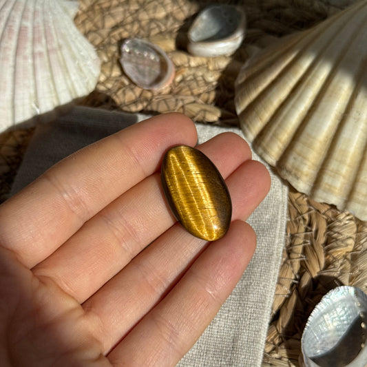 Tigerauge Cabochon ~ TS8