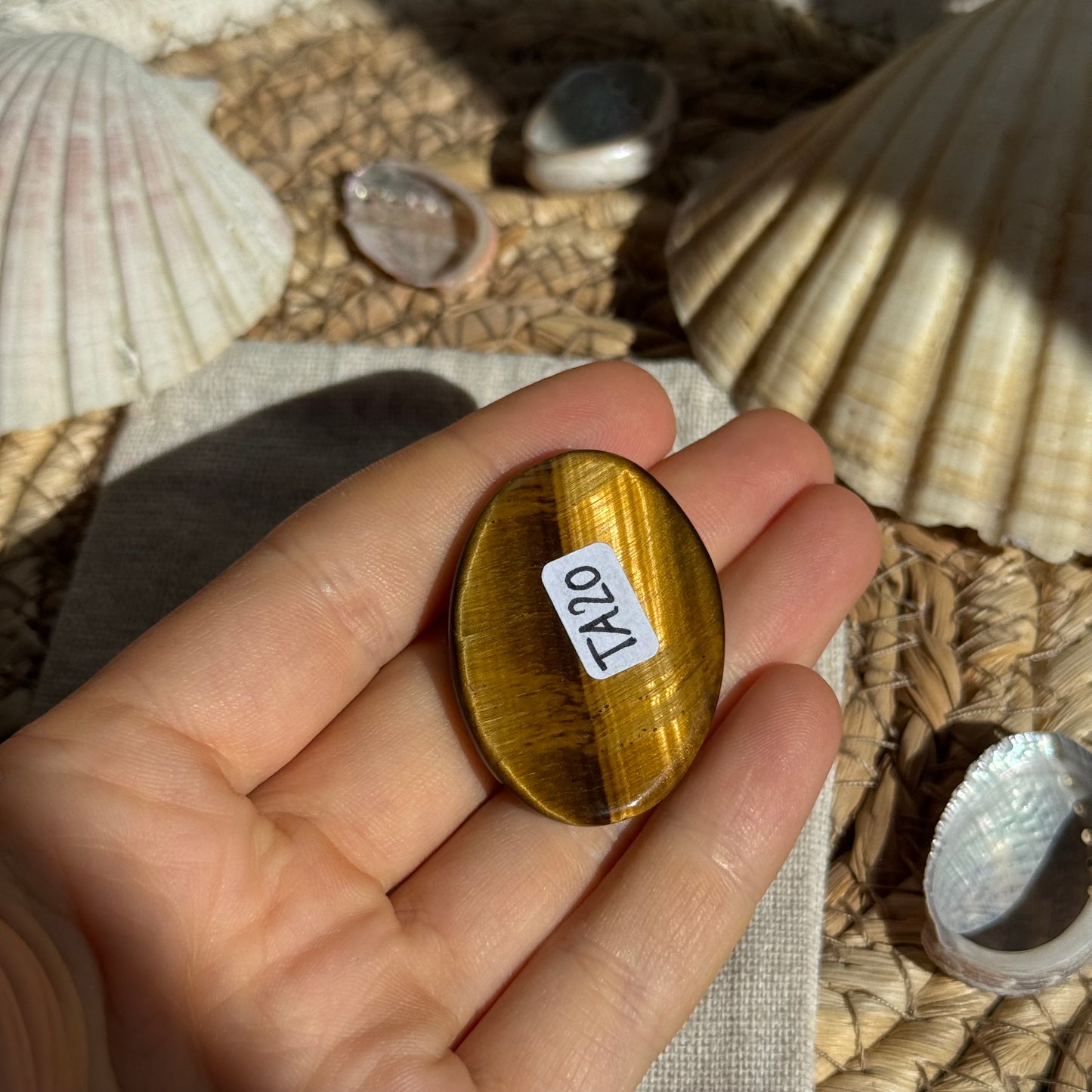 Tigerauge Cabochon ~ TA20