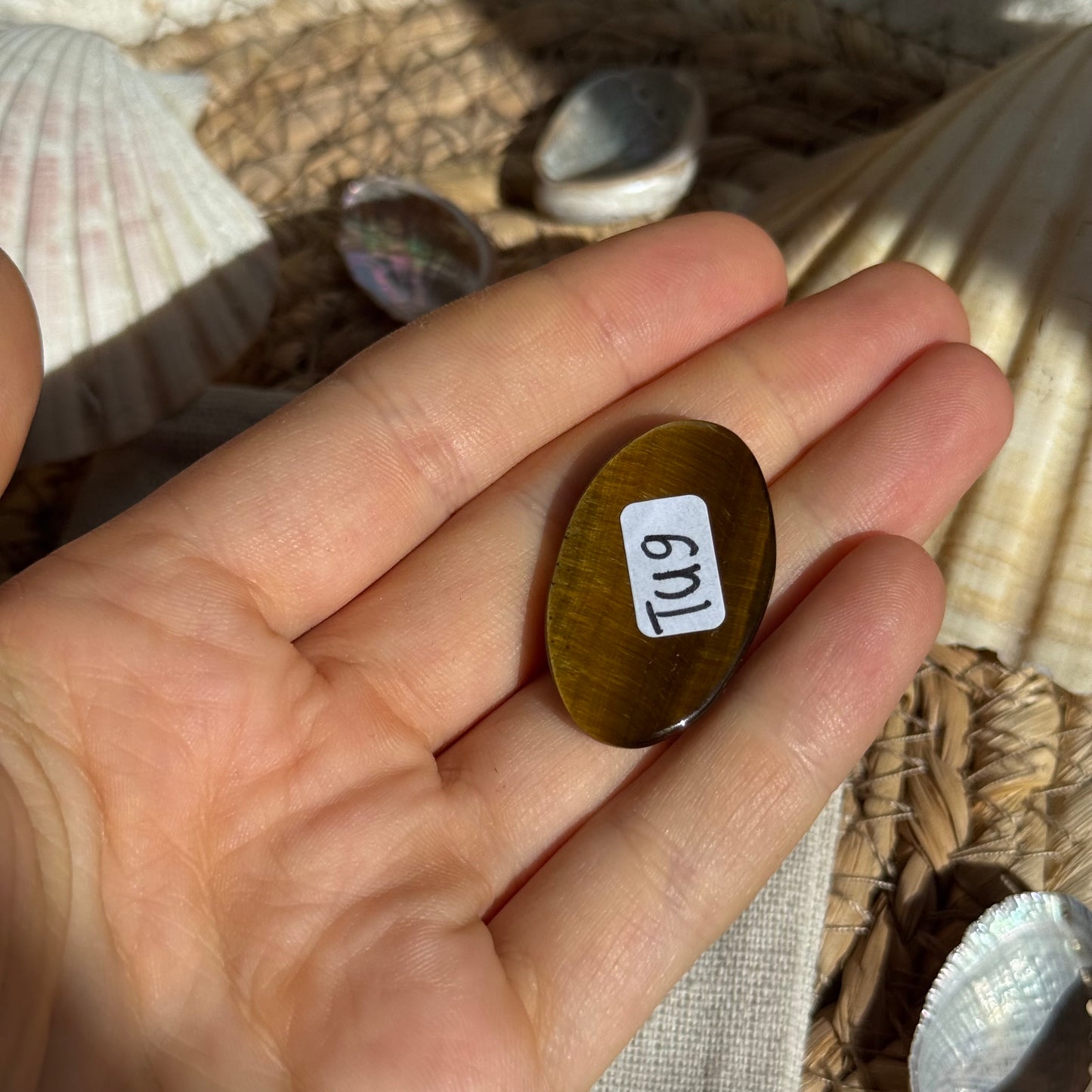 Tigerauge Cabochon ~ TU9