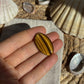 Tigerauge Cabochon ~ TJ9