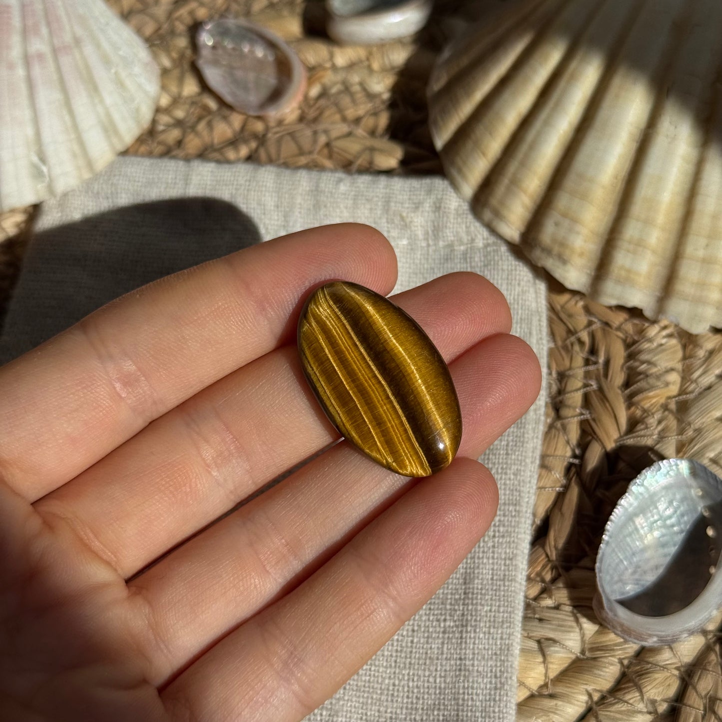 Tigerauge Cabochon ~ TJ9